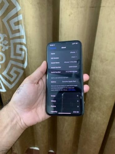 iphone 11 pro max 256gb complete box sim glitch